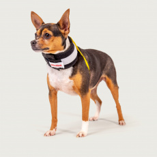 BiteNot™ Cervical Collar Dogs