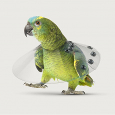 Saf-T-Shield™ Collar for Birds