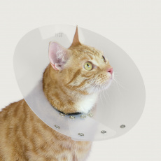 Saf-T-Shield™ Collar for Felines and Small Animals