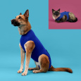 Recova Shirt™ Dogs Cats